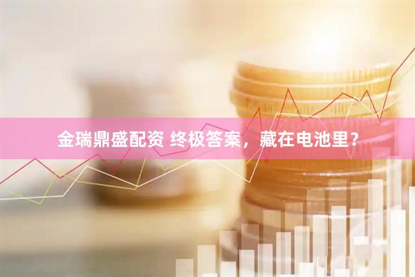 金瑞鼎盛配资 终极答案，藏在电池里？