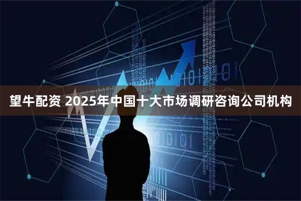 望牛配资 2025年中国十大市场调研咨询公司机构